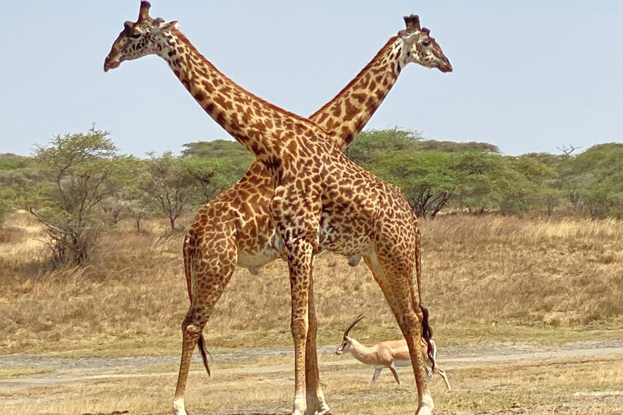 WhatsApp Image 2025-10-06 at 8.53.00 PM