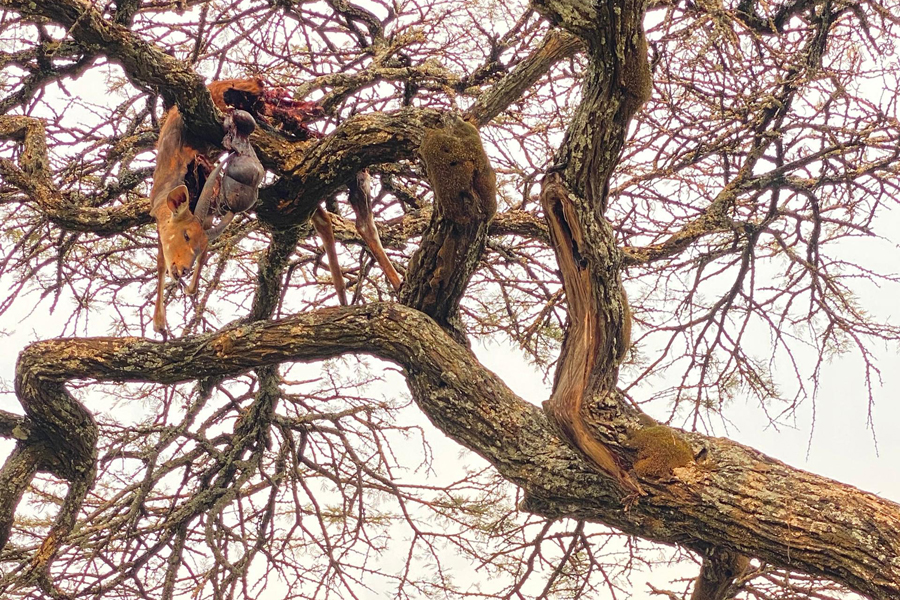 WhatsApp Image 2025-10-06 at 8.53.02 PM